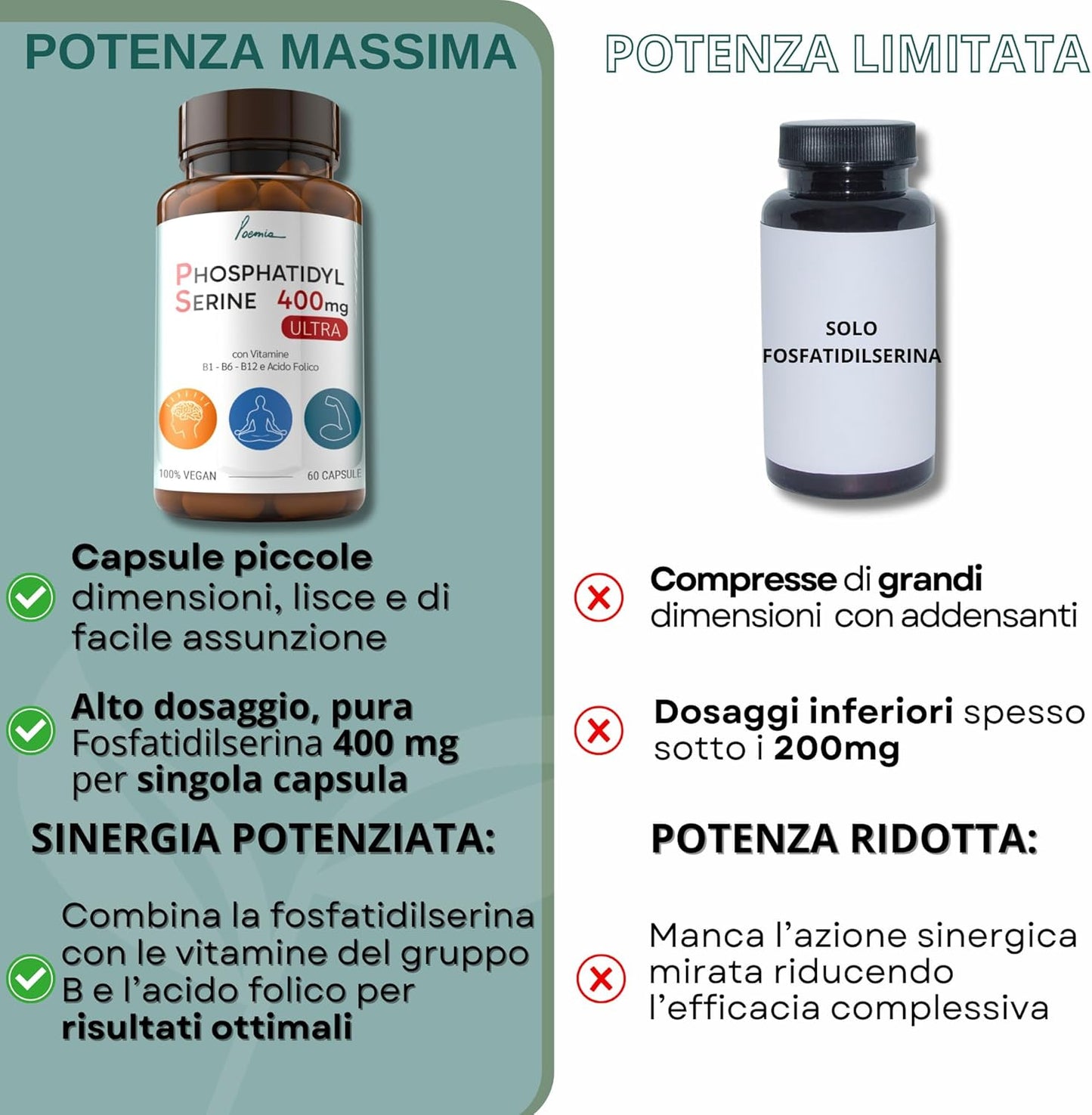 Fosfatidilserina Pura Ps 400mg Contrasta il Cortisolo Migliora Memoria e Concentrazione Riduce lo Stress Integratore con Vitamina B1 (Tiamina) B6 B12 Acido Folico 60 Capsule Poemia