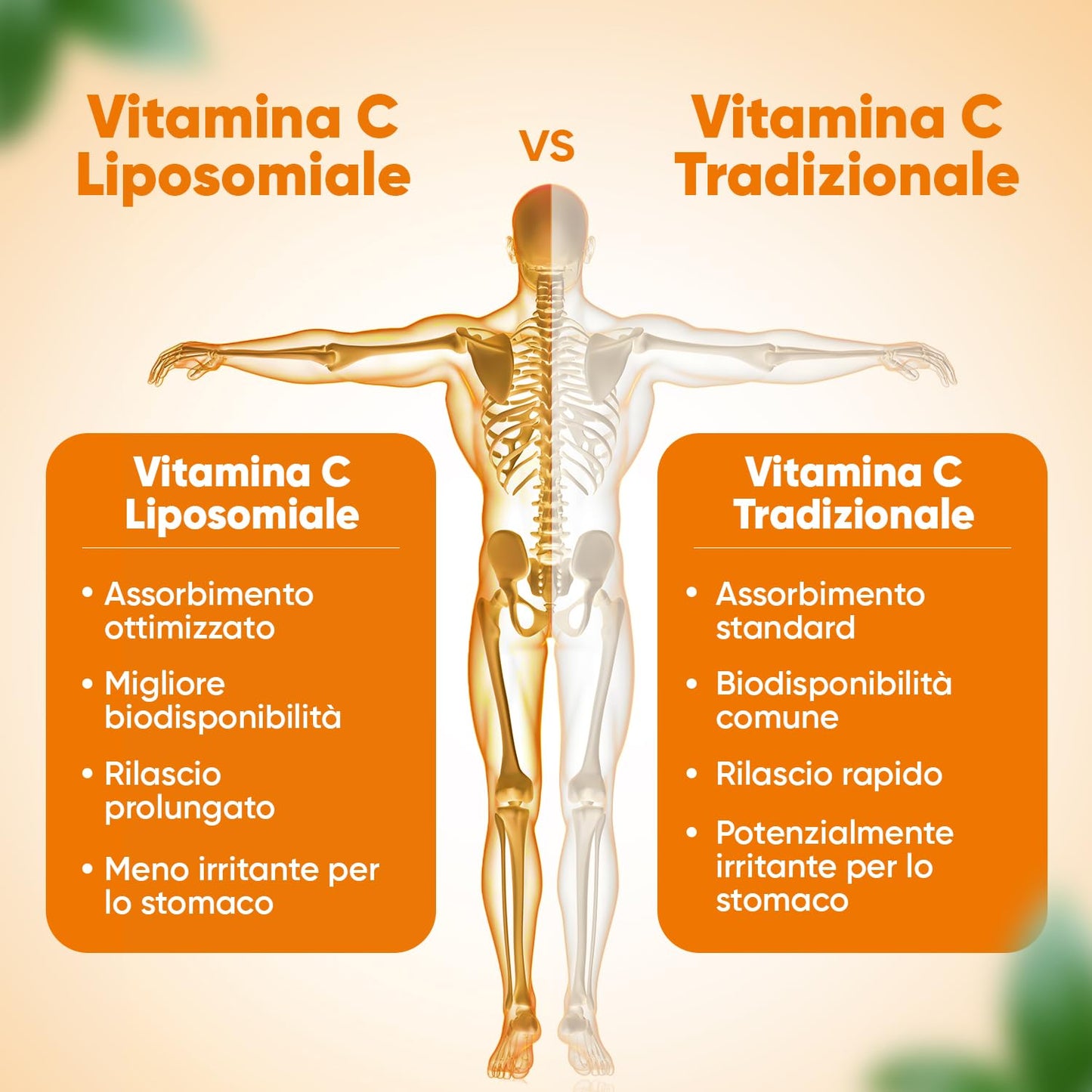 Vitamina C Liposomiale, Sistema Immunitario, Ossa, Pelle, Stanchezza, Vitamina C Pura 180 Capsule, Vitamina C 1000mg Vegan, Vit C Liposomiale Acido Ascorbico 3 Mesi, Vitamina C Naturale Alto Dosaggio