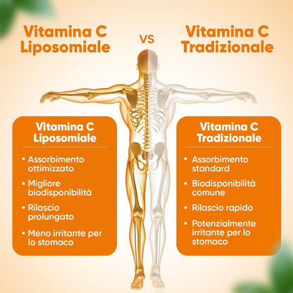 Vitamina C Liposomiale, Sistema Immunitario, Ossa, Pelle, Stanchezza, Vitamina C Pura 180 Capsule, Vitamina C 1000mg Vegan, Vit C Liposomiale Acido Ascorbico 3 Mesi, Vitamina C Naturale Alto Dosaggio