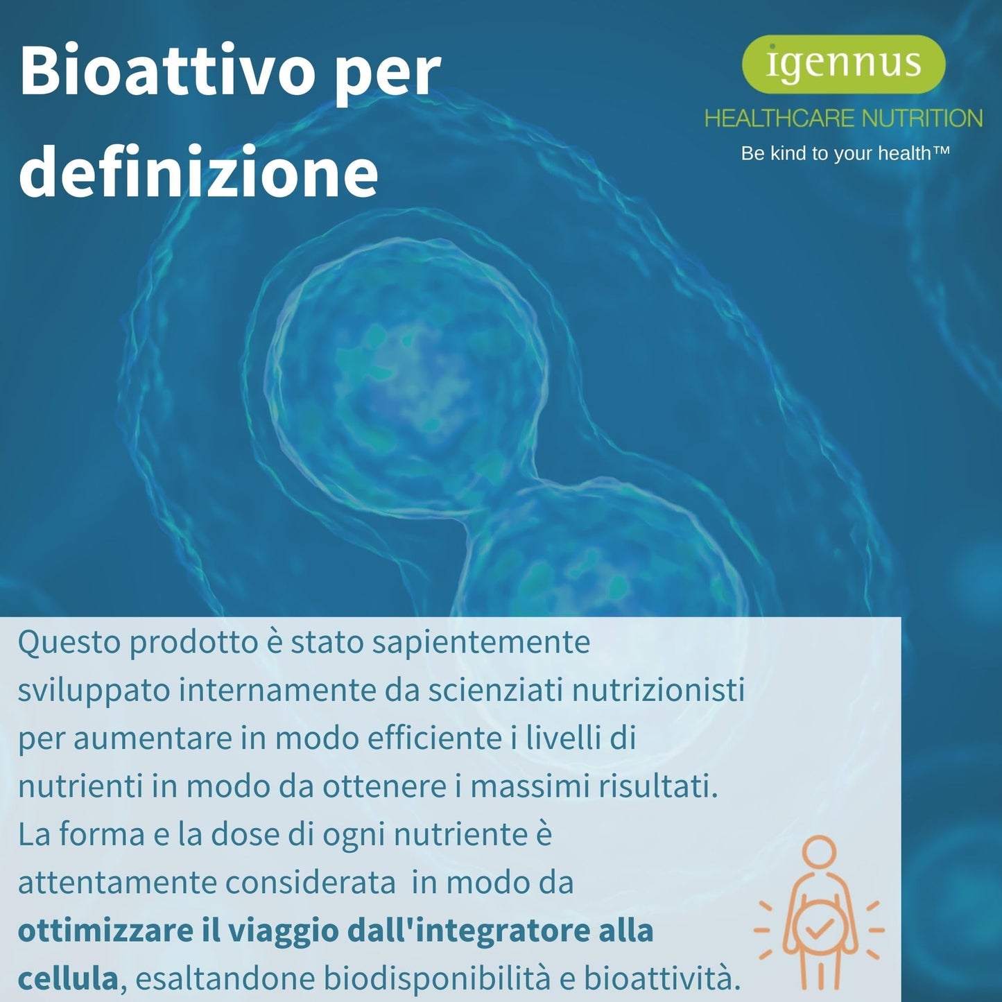 Peptidi di Collagene Idrolizzato, Non Aromatizzato, 100% Polvere Proteica di Collagene Agglomerato Proveniente da Bovini Allevati ad Erba, Collagene da Bere 400gr, Igennus