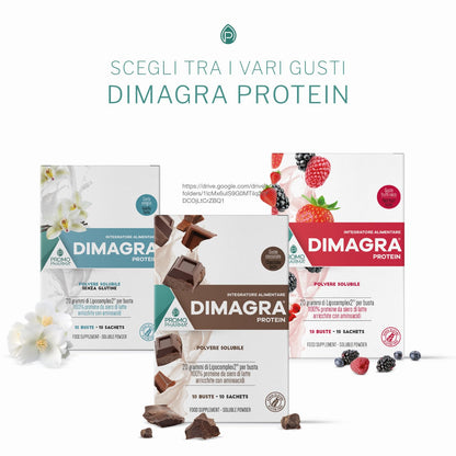 Dimagra Protein - Integratore Alimentare con proteine da siero del latte - Per dimagrire, disintossicare, per il mantenimento e la crescita della massa muscolare - Gusto cioccolato, 10 buste da 22 g