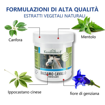 HW CASE Kräuterhof Balsamo per cavalli riscaldante, extra forte, gel massaggiante - Rimedio naturale per il sollievo muscolare (1x500ML)