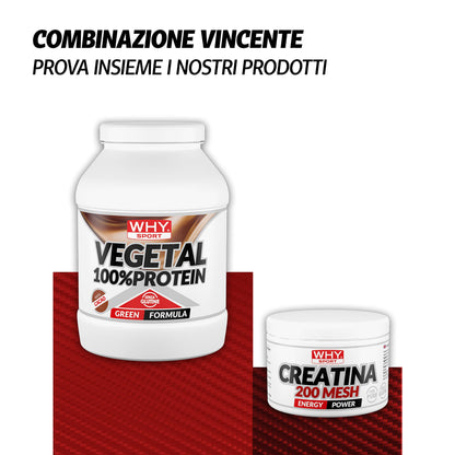 WHY SPORT VEGETAL 100% PROTEIN - Proteine Vegetali - Proteine in Polvere – Proteine del Pisello e del Riso - Gusto Cacao - 750 gr