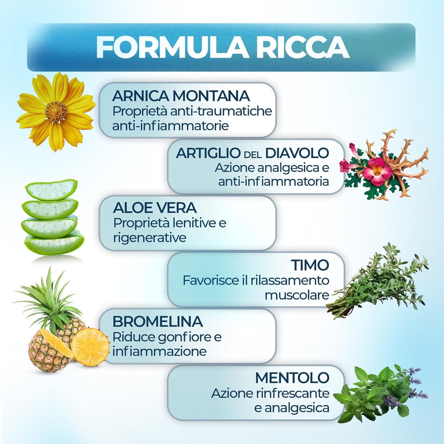 Arnica per Cavalli Uso Umano 500ml Extra Forte, Arnica Gel Forte Potenziata con Artiglio del Diavolo Forte, Crema Arnica Azione Intensa per Massaggi a Muscoli e Articolazioni