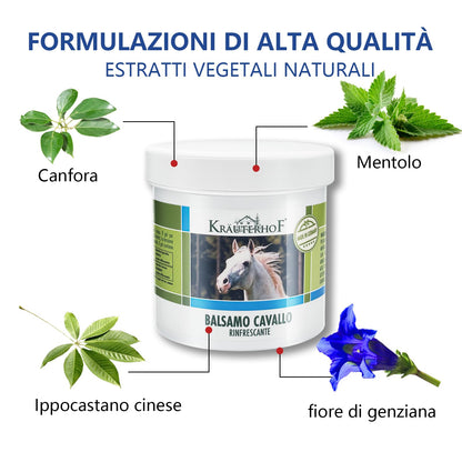 HW CASE Kräuterhof Balsamo per cavalli riscaldante, extra forte, gel massaggiante - Rimedio naturale per il sollievo muscolare (1x500ML)