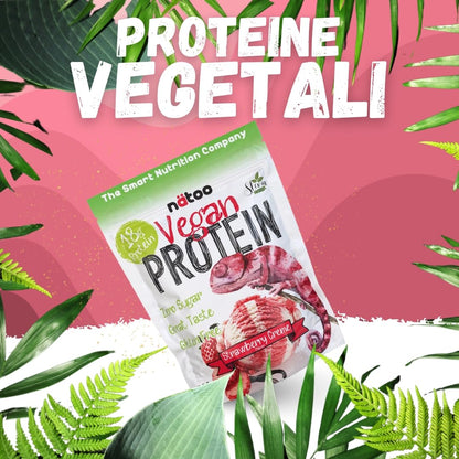 NÄTOO Proteine in Polvere Vegane - 500g Gusto Choco Nut senza Zucchero - Proteine in Polvere Isolate Vegetali provenienti dal Pisello e dal Riso - 18 grammi per Porzione - Proteine senza lattosio