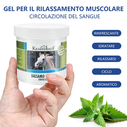 HW CASE Kräuterhof Balsamo per cavalli riscaldante, extra forte, gel massaggiante - Rimedio naturale per il sollievo muscolare (1x500ML)