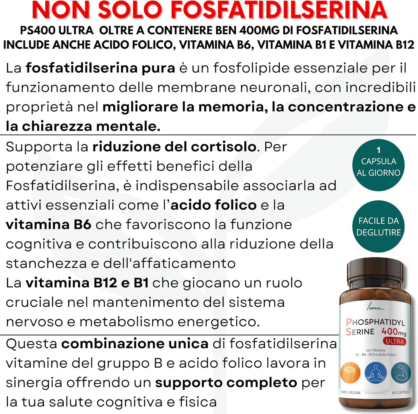 Fosfatidilserina Pura Ps 400mg Contrasta il Cortisolo Migliora Memoria e Concentrazione Riduce lo Stress Integratore con Vitamina B1 (Tiamina) B6 B12 Acido Folico 60 Capsule Poemia