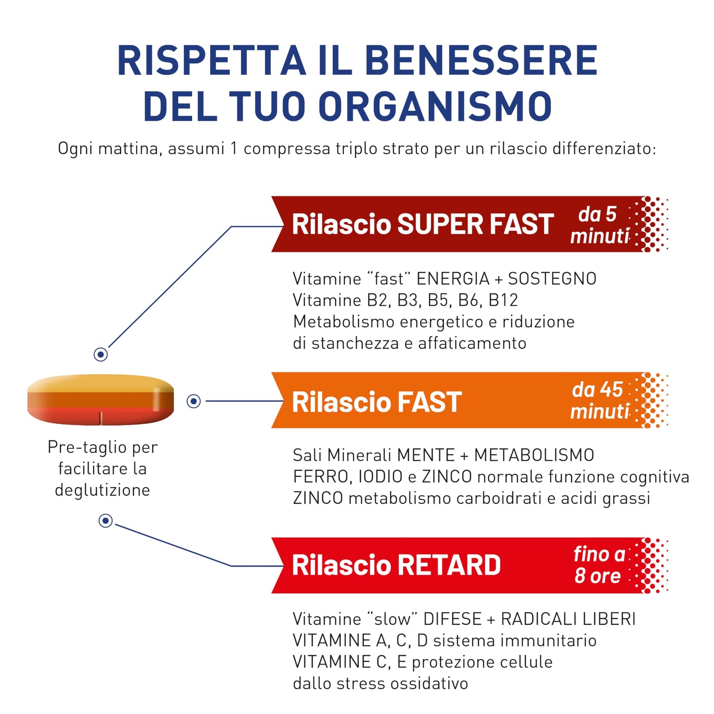 equilibra Integratori Alimentari, Multivitamine & Minerali, Formula Potenziata, per Energia, Sostegno, Mente, Metabolismo, 30 Compresse Triplo Strato a Rilascio Differenziato nel Tempo