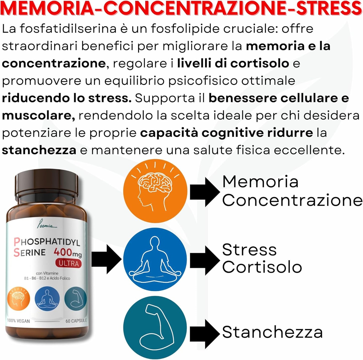 Fosfatidilserina Pura Ps 400mg Contrasta il Cortisolo Migliora Memoria e Concentrazione Riduce lo Stress Integratore con Vitamina B1 (Tiamina) B6 B12 Acido Folico 60 Capsule Poemia