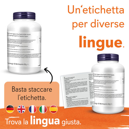 Now Foods, Vitamin K2 MK-7, 100mcg, Tutto Trans, 60 Capsule vegane, Testate in Laboratorio, Senza Glutine, Senza Soia, non OGM