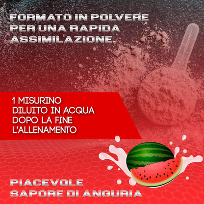 Healthy Fusion Creatina Monoidrata | Creatina Pura microfiltrata | Favorisce la crescita muscolare e migliora la resistenza fisica | Elevata solubilità | Formato in polvere, gusto di Anguria 300gr