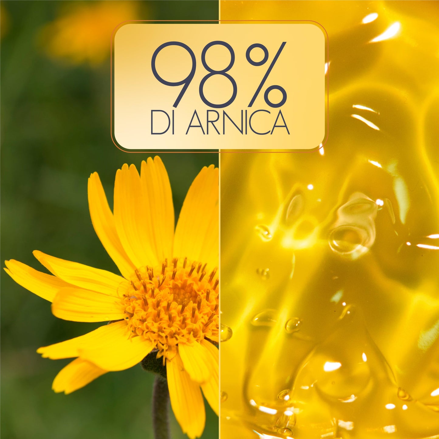 Arnica per cavalli uso umano e Artiglio del Diavolo 500 ml, Gel Extra Forte 98%, crema per massaggi a muscoli e articolazioni, effetto freddo, non irrita, non arrossa, non unge, 100% made in Italy