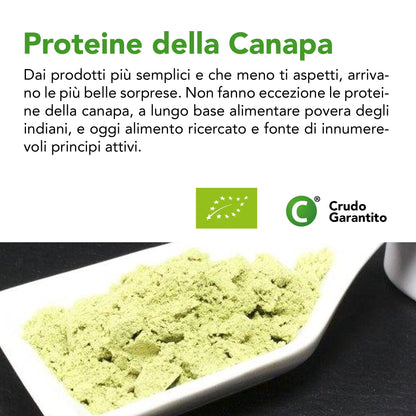 Proteine del Riso in Polvere Bio - 80% Proteina - 500g. Proteine Naturalmente Senza Lattosio e Glutine. Proteine Vegane Vegetali e Biologiche Senza Zucchero. Organic and Vegan Rice Protein Powder.