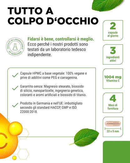 Vitamina C liposomiale - 240 capsule vegane - Premium: altamente dosata con 1000 mg di vitamina pura al giorno - Biodisponibilità particolarmente elevata