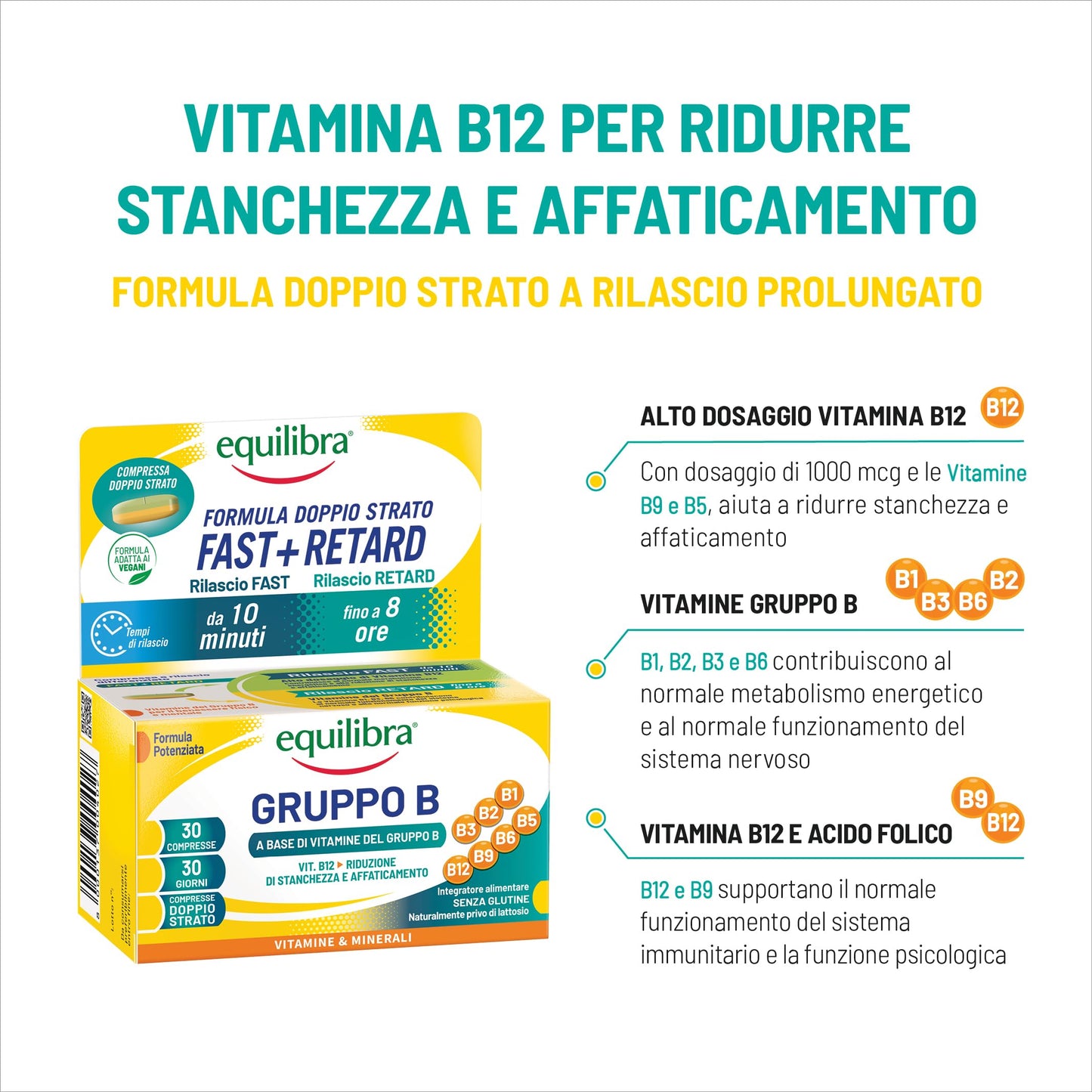 equilibra, Vitamine Gruppo B, Alto dosaggio B12 1000 mcg con Rilascio FAST e Fino a 8 Ore, Vegan, 30 Compresse Doppio Strato, Benessere Fisico-Mentale, Riduce Stanchezza e Affaticamento