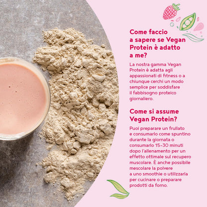 Proteine in Polvere Vegane | Gusto Cioccolato | 21g Proteine | Proteine Vegetali Isolate in Polvere di Pisello, Riso, Girasole e Soia | Massa Muscolare | 1.2kg Vegan Protein Powder | Alpha Foods