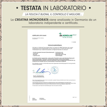 Creatina monoidrata polvere 500g - Creatina monoidrato micronizzata ad alto dosaggio - Creatina pura in polvere senza additivi, 100% vegana - testata in laboratorio, con certificato - per 146 giorni