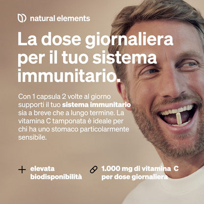 Vitamina C - 360 capsule - Elevato dosaggio con 1000 mg + 15 mg di zinco - Fermentato e tamponato a base vegetale (pH neutro, privo di acidi, delicato sullo stomaco) - Testato in laboratorio, vegano