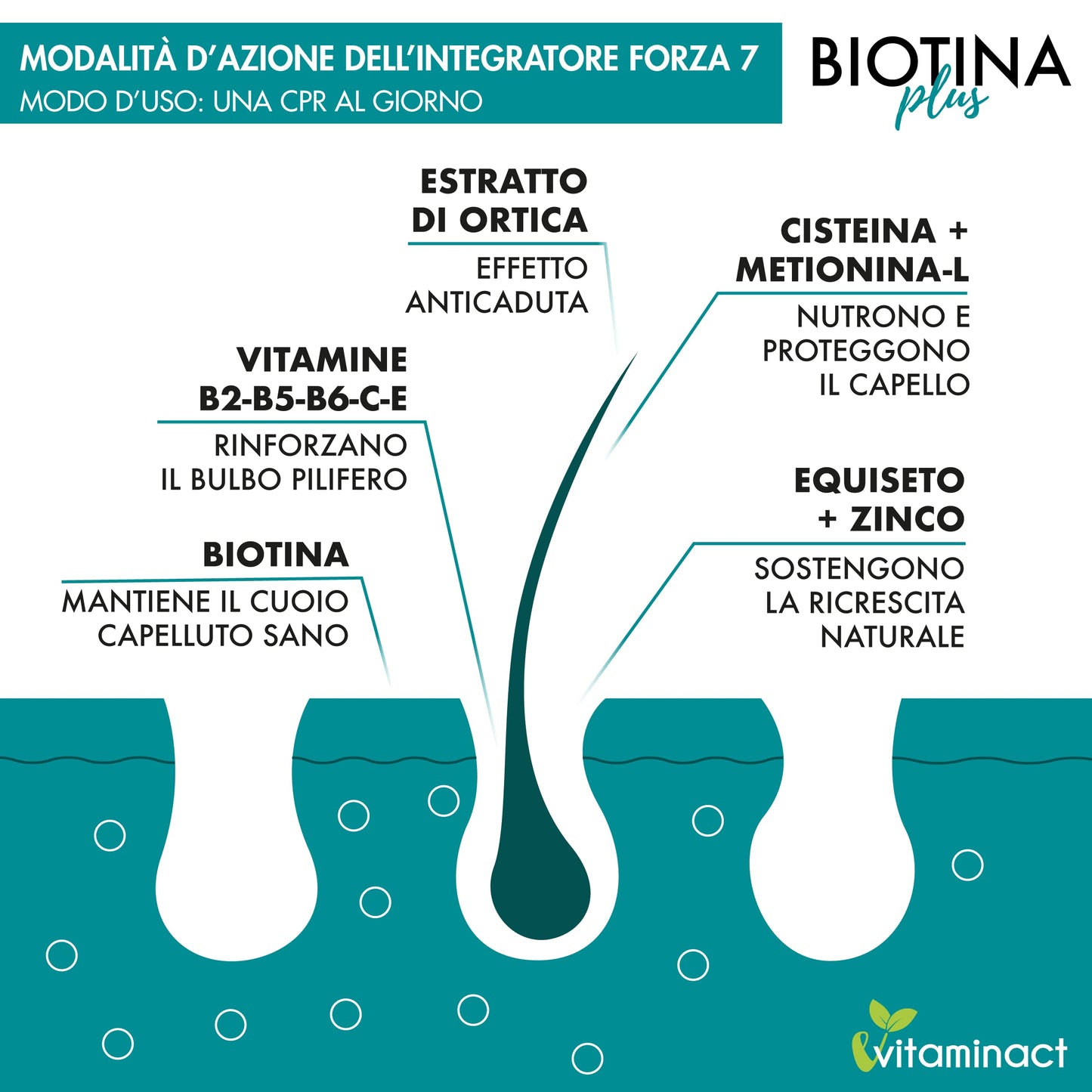 Integratore Capelli Donna Uomo - Biotina Plus Altissimo Dosaggio- Trattamento 4 mesi-Accelera Crescita Capelli Unghie - Rinforzante - Anticaduta - Ricrescita - Equiseto-Zinco-Ortica-