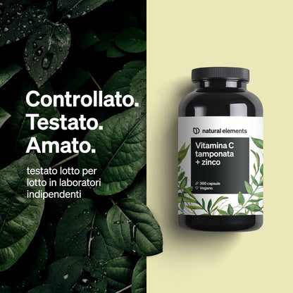 Vitamina C - 360 capsule - Elevato dosaggio con 1000 mg + 15 mg di zinco - Fermentato e tamponato a base vegetale (pH neutro, privo di acidi, delicato sullo stomaco) - Testato in laboratorio, vegano