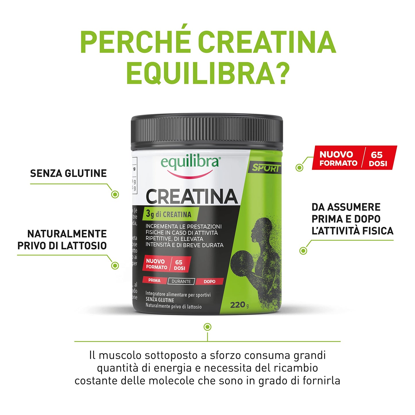 equilibra Integratori Alimentari, a Base di Creatina, Integratore Energia per Sportivi, Incrementa le Prestazioni Fisiche in Caso di Attività Ripetitive, Senza Glutine, Barattolo 220 g