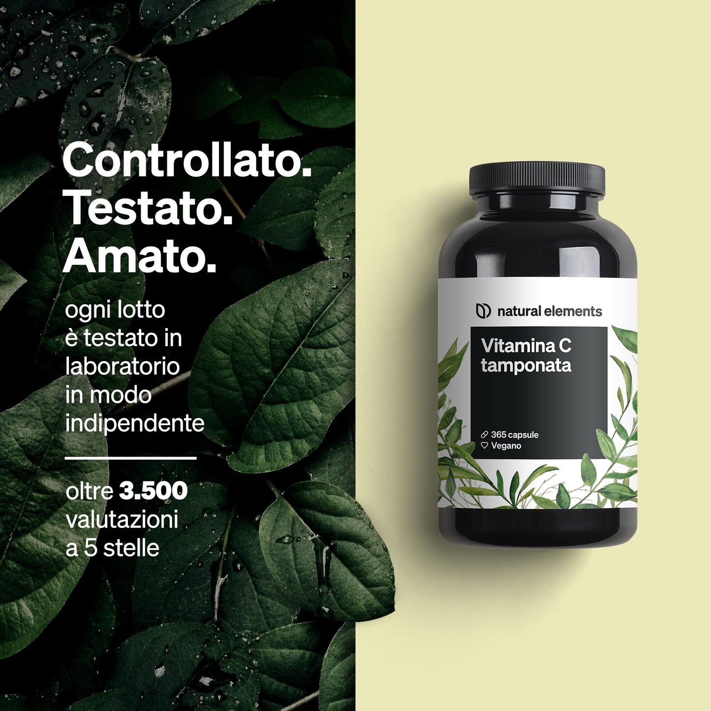 Vitamina C - 360 capsule - Elevato dosaggio con 1000 mg + 15 mg di zinco - Fermentato e tamponato a base vegetale (pH neutro, privo di acidi, delicato sullo stomaco) - Testato in laboratorio, vegano