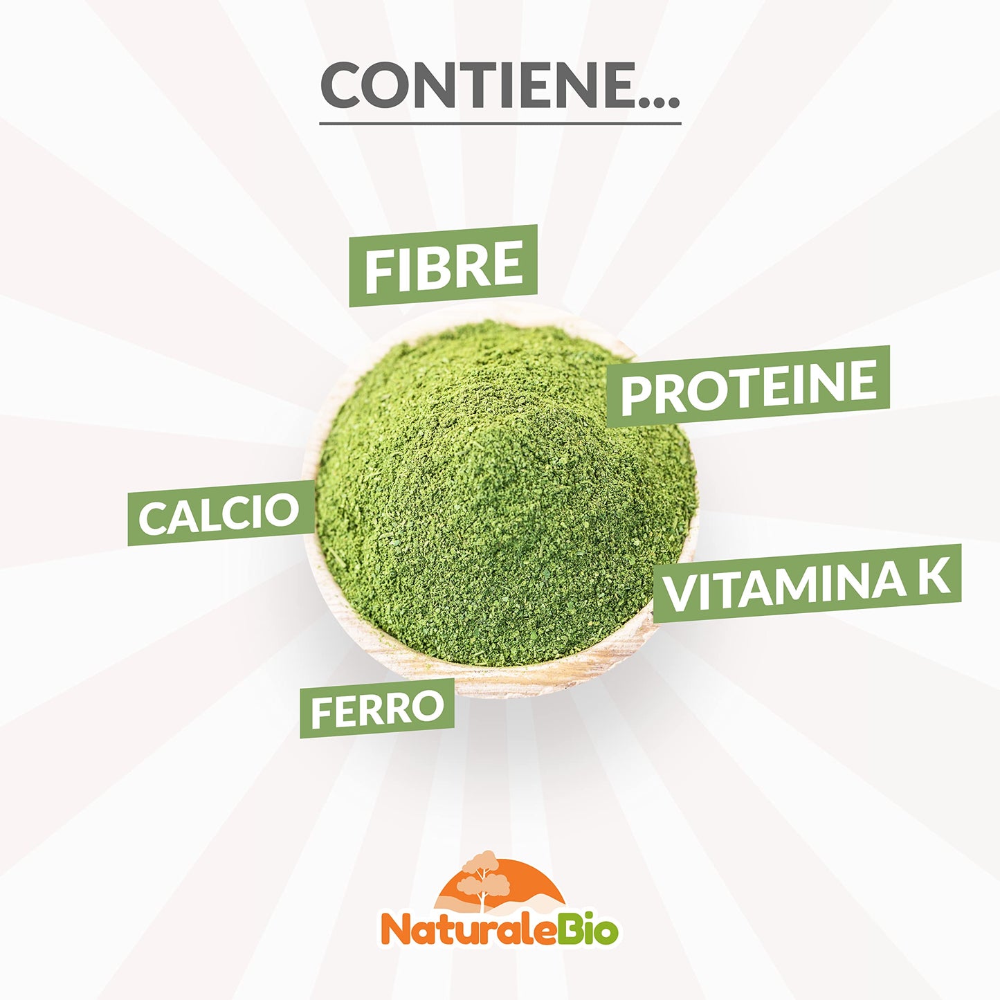 Moringa Oleifera Bio in Polvere - Qualità Premium - 400g. Biologica, Naturale e Pura. Foglie Raccolte dalla Pianta di Moringa Oleifera. NaturaleBio