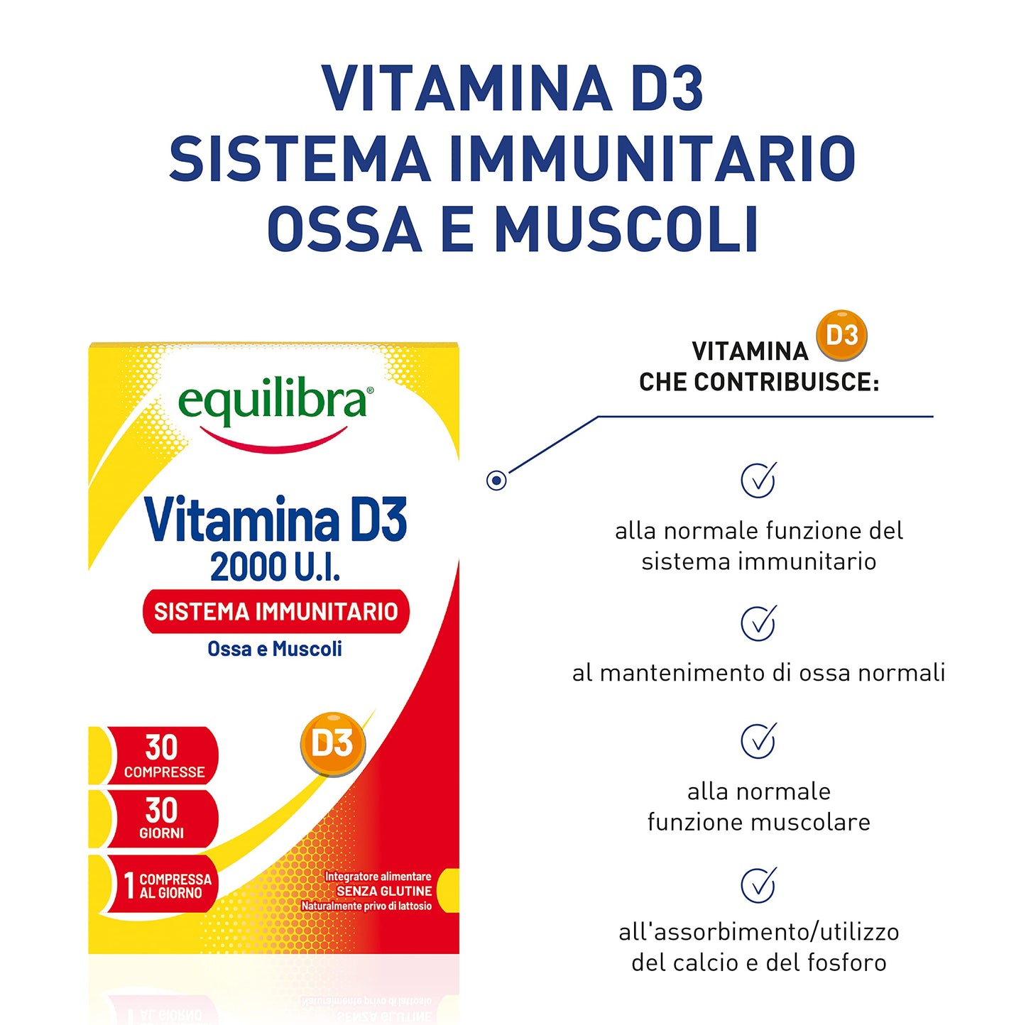 equilibra Integratori Alimentari, Vitamina D3, Integratore Vitamina D3 per la Normale Funzione del Sistema Immunitario, per il Mantenimento di Ossa Normali, 2000 UI, 30 Compresse Altodosate