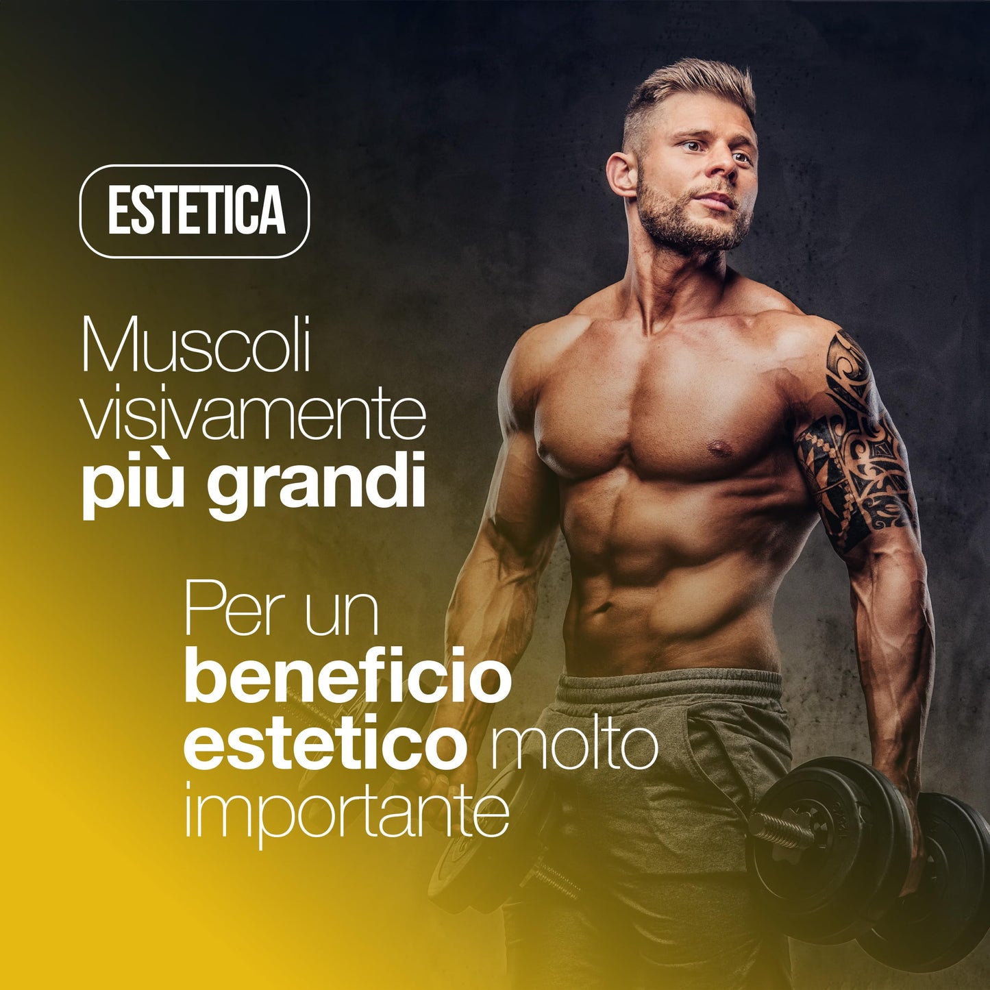 Creatina Monoidrata 120 Compresse da 3000mg di Creatina Pura per dose. Creatine Monohydrate per Massa Muscolare e Boost Energetico. Creatina Pre e Post Workout. Creatina Made in Italy, 100% Vegan