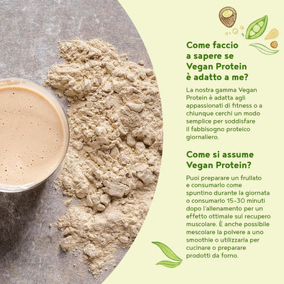 Proteine in Polvere Vegane | Gusto Nocciola | 19g Proteine | Proteine Vegetali Isolate in Polvere di Pisello, Riso e Girasole | Massa Muscolare | 600g Vegan Protein Powder | Alpha Foods