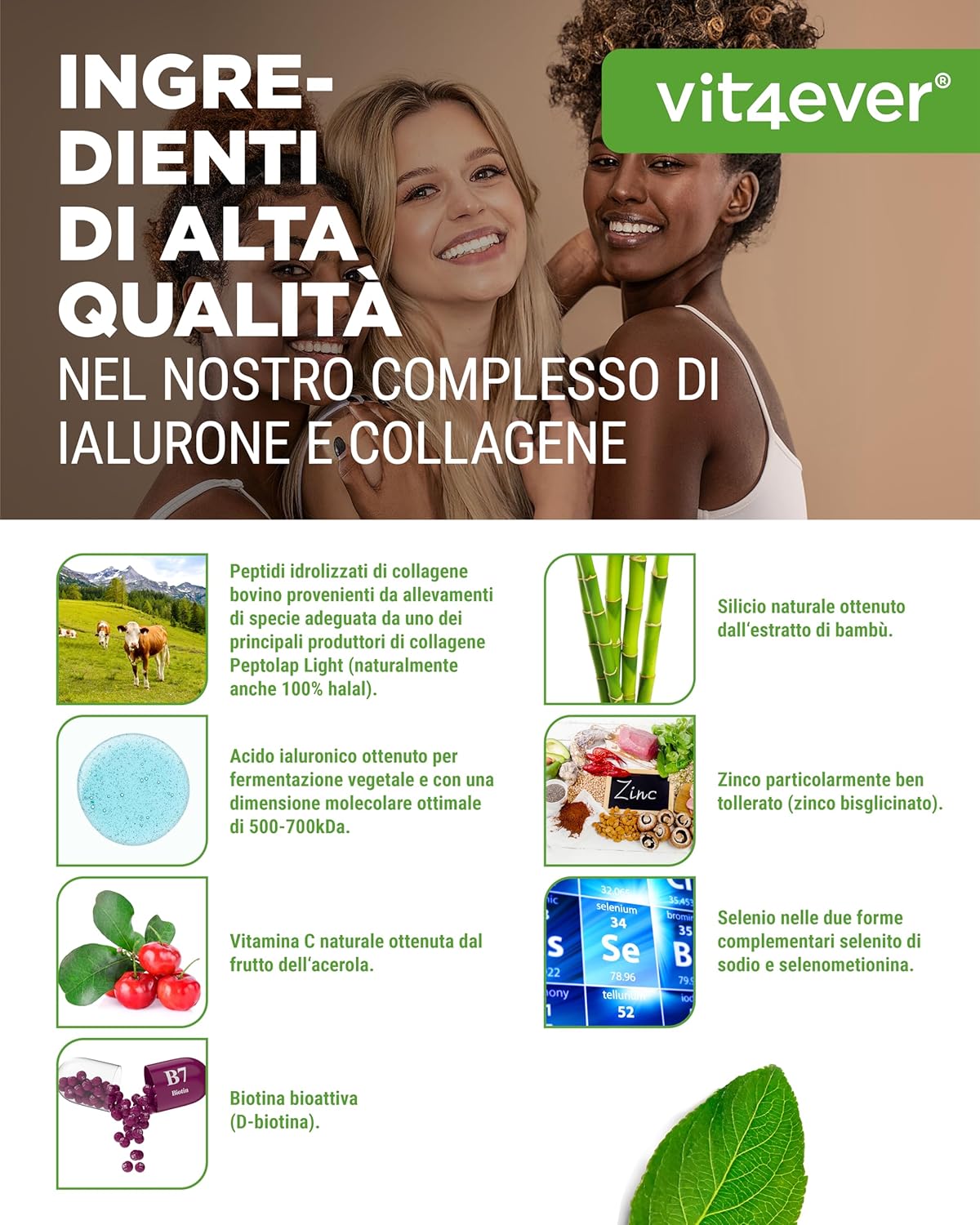 Complesso di acido ialuronico e collagene - 240 capsule - Premium: Con biotina bioattiva, selenio, zinco, vitamina C naturale da acerola e silicio da bambù