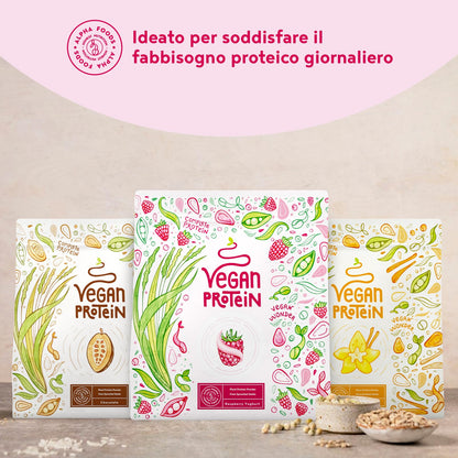 Proteine in Polvere Vegane | Gusto Cioccolato | 21g Proteine | Proteine Vegetali Isolate in Polvere di Pisello, Riso, Girasole e Soia | Massa Muscolare | 1.2kg Vegan Protein Powder | Alpha Foods