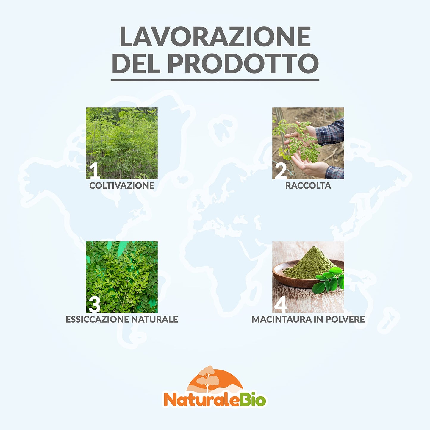 Moringa Oleifera Bio in Polvere - Qualità Premium - 400g. Biologica, Naturale e Pura. Foglie Raccolte dalla Pianta di Moringa Oleifera. NaturaleBio