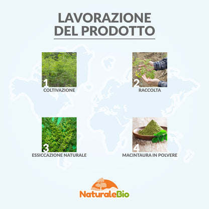 Moringa Oleifera Bio in Polvere - Qualità Premium - 400g. Biologica, Naturale e Pura. Foglie Raccolte dalla Pianta di Moringa Oleifera. NaturaleBio