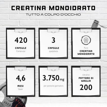 Creatine Ultra Caps - 420 capsule con 1250 mg ciascuna di creatina monoidrato pura - Premium: Ultrafine + Mesh Factor di 200 - Dose elevata