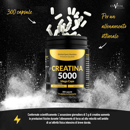 Creatina 5000 Mega Caps, stimolante per l'allenamento, 5000 mg di creatina monoidrato per dose giornaliera, 300 capsule, preworkout, Vegano