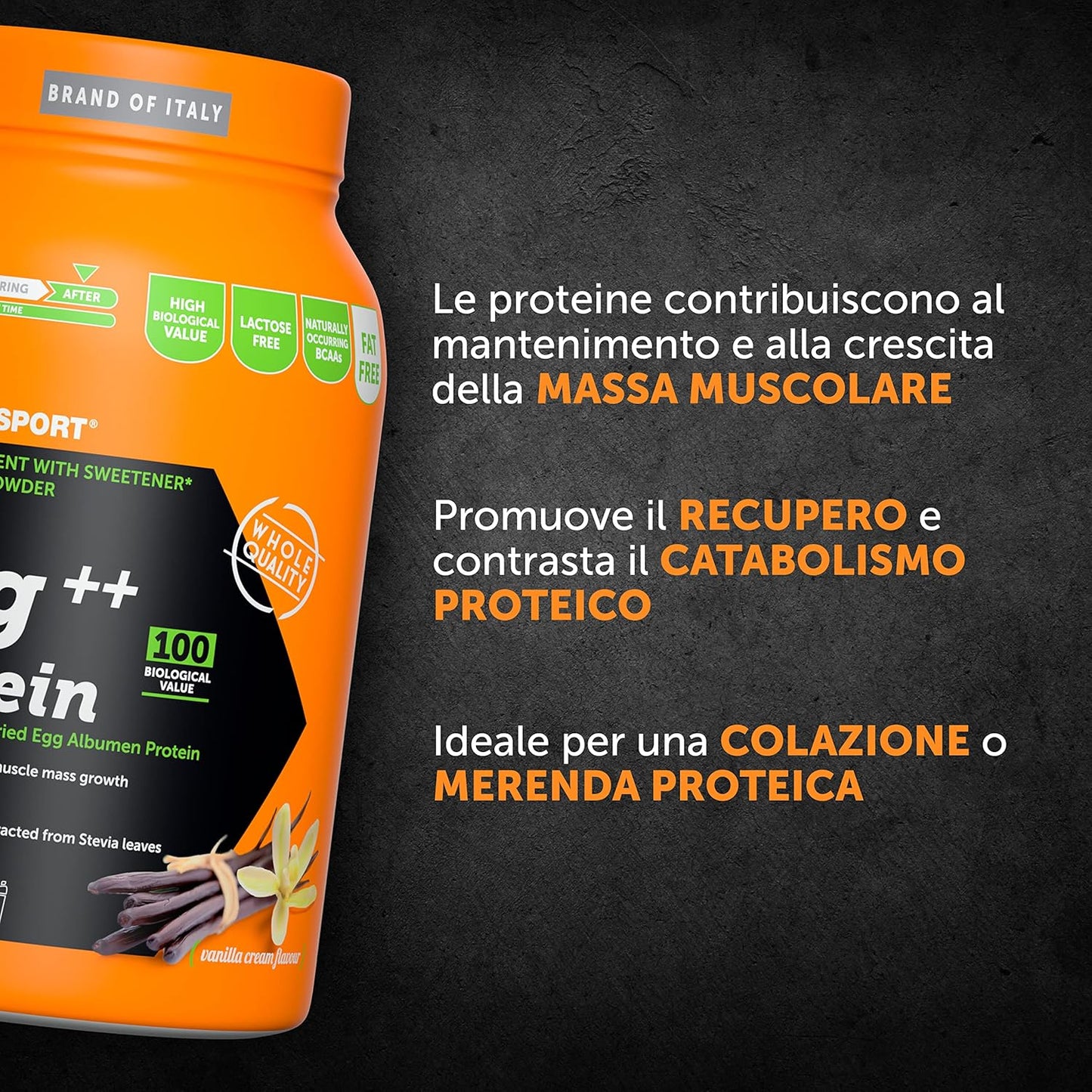 NAMEDSPORT Egg++ Protein Vanilla Cream 750 g - integratore alimentare a base di albume in polvere, gusto vaniglia