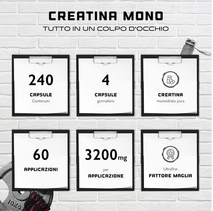 GEN GERMAN ELITE NUTRITION Creatina – 240 capsule vegane – ad alto dosaggio con 3200 mg di creatina monoidrato al giorno – Premium: ultra fine + fattore mesh di 200 – testato in laboratorio – vegano